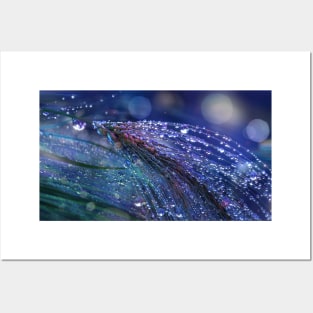 Waterdrops in purple Posters and Art